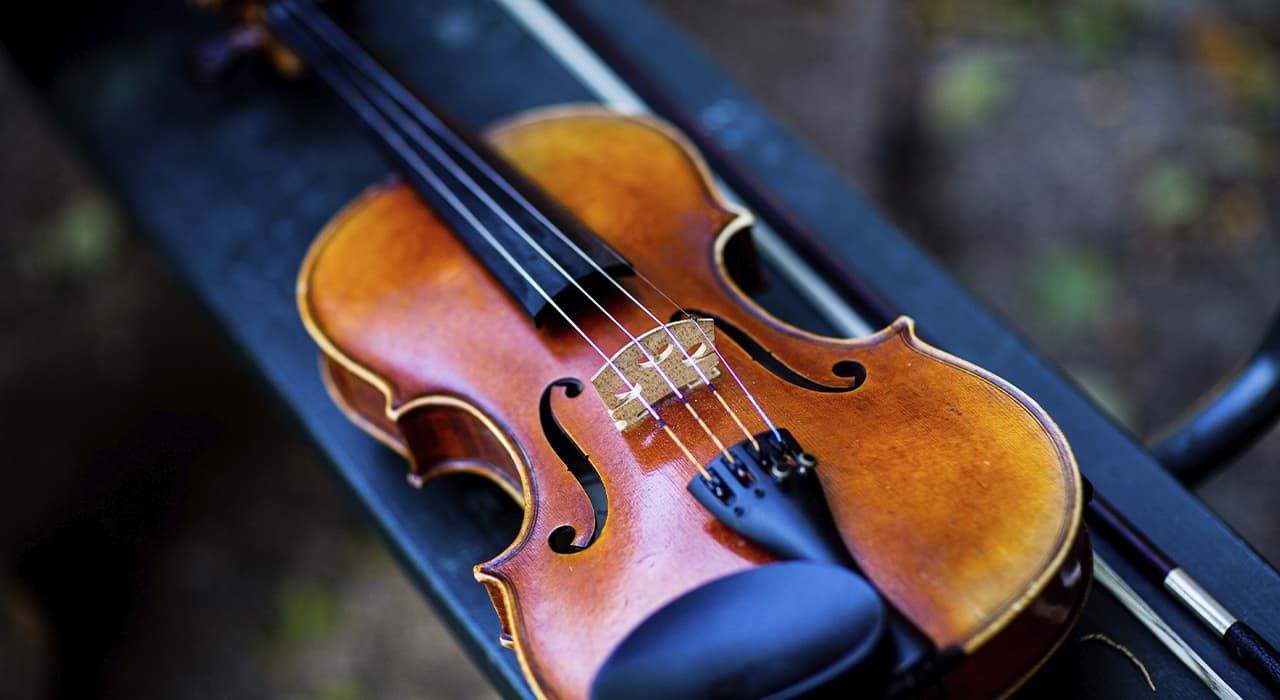 norwegian-musician-plays-the-largest-string-instrument-ever-invented